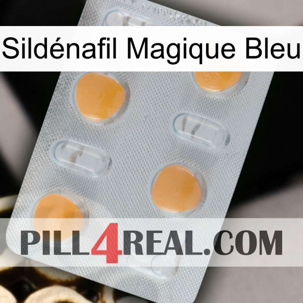Sildénafil Magique Bleu 24.jpg